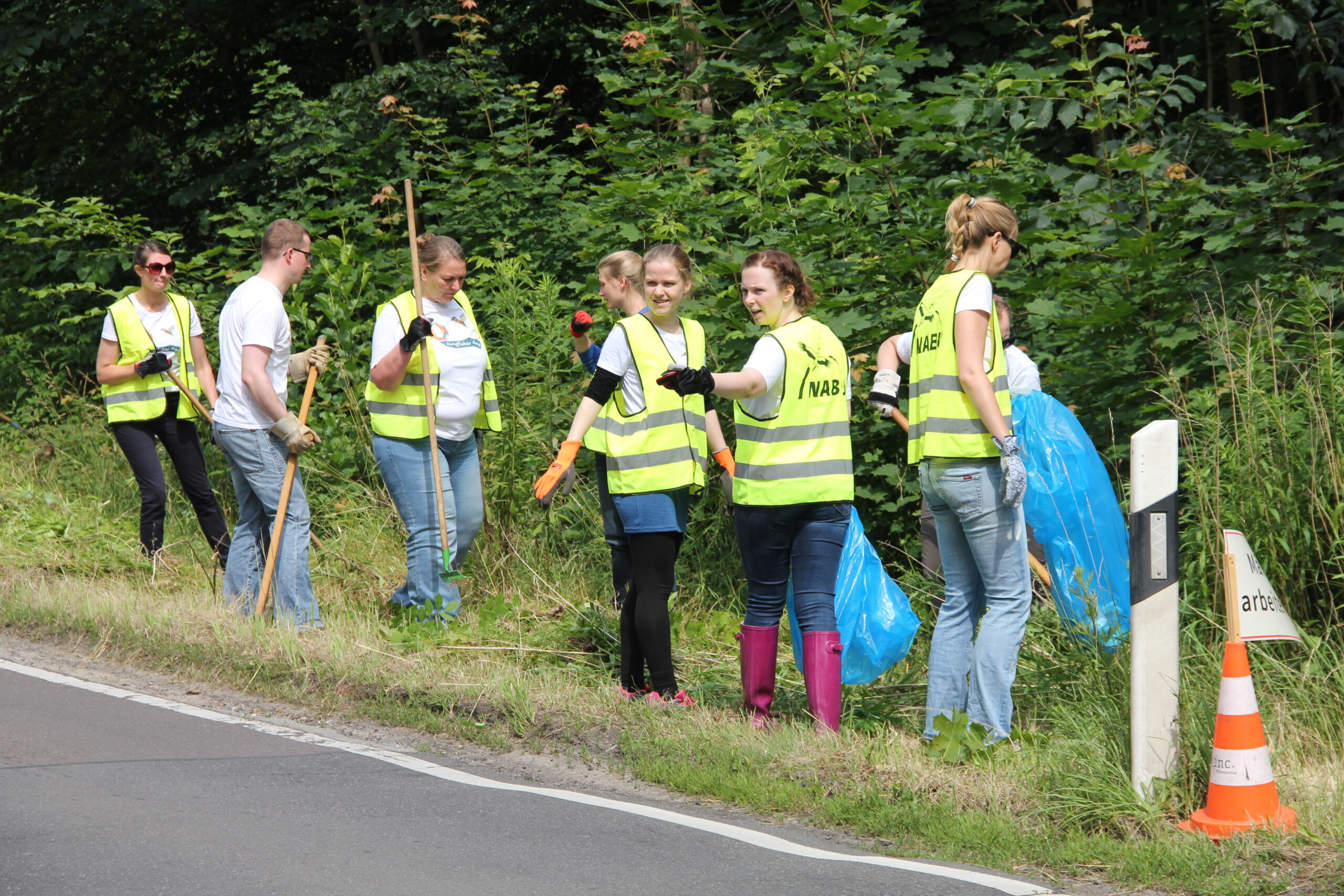 Ehrenamt beim NABU Bergstraße – gemeinsam für Natur und Artenvielfalt