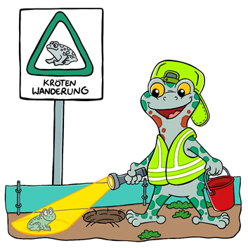 McBufo – Krötenretter