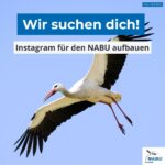 NABU Kreisverband Bergstraße e.V.