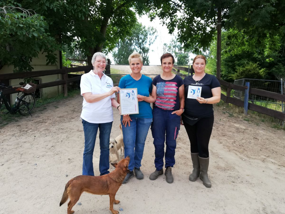 Schwalbenschutz auf dem Schießhof Lampertheim