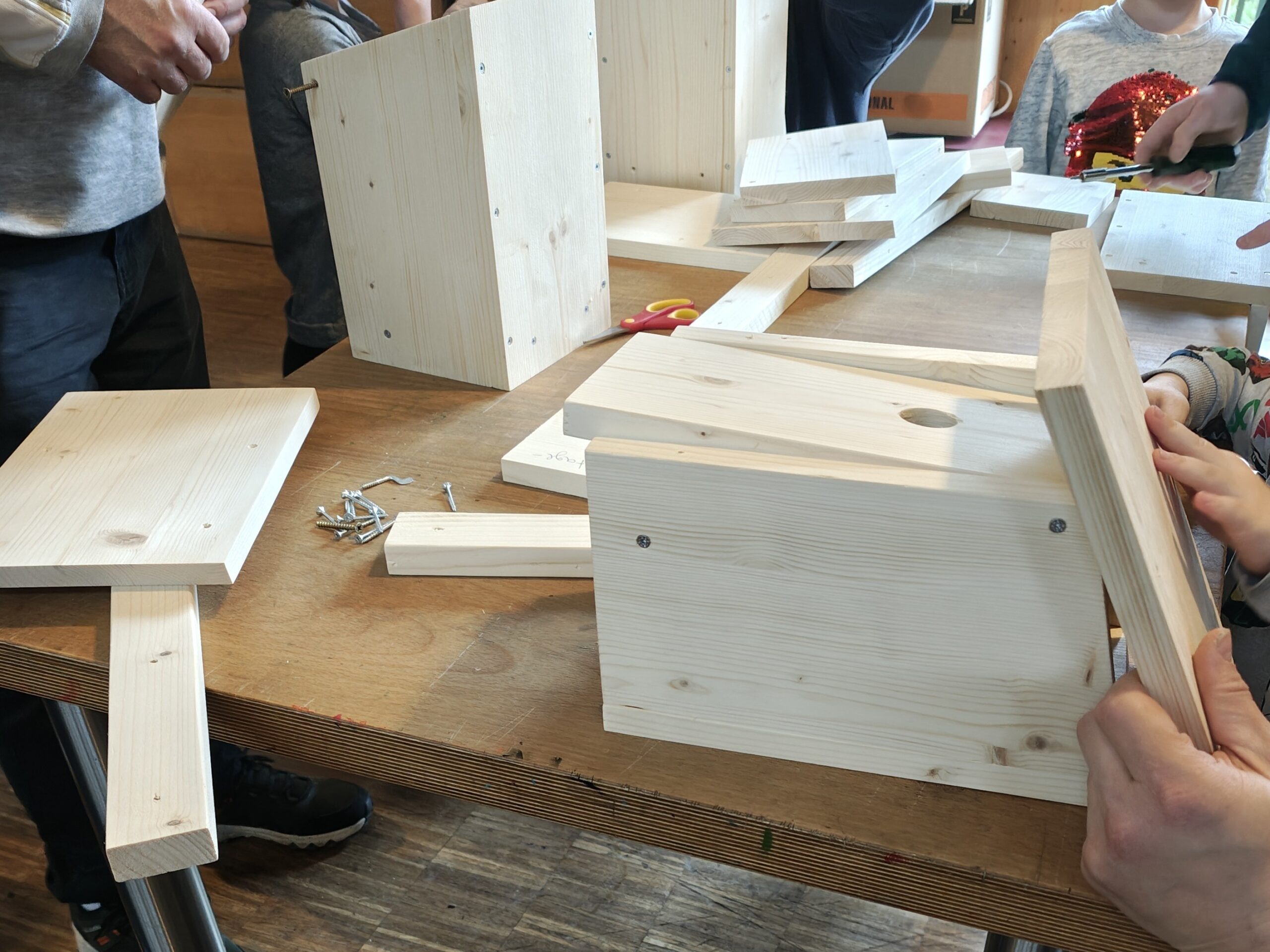 Teilnehmende Kinder bauen im Naturschutzzentrum Bergstraße Nistkästen für heimische Brutvögel.