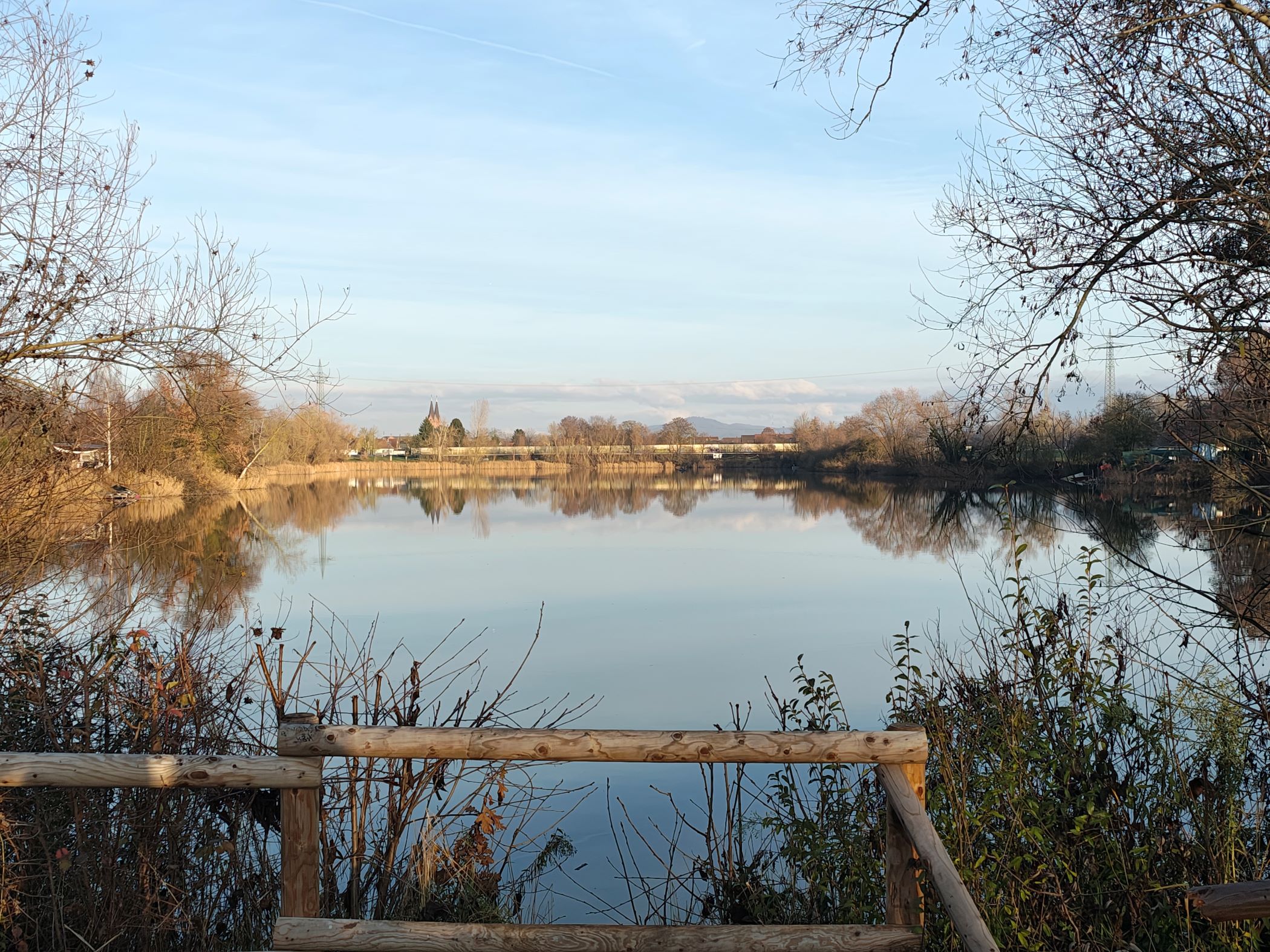 Gemeindesee Biblis mit Uferlebensraum – Natur entdecken am Gemeindesee Biblis