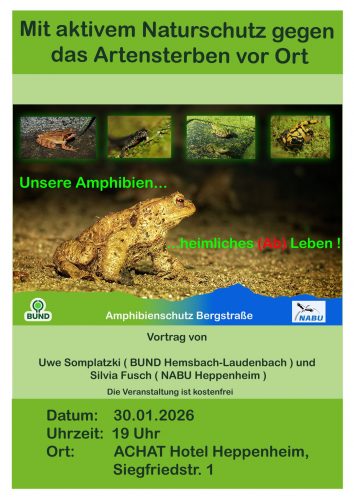 2026-30-01_Vortrag_Amphibien jpg